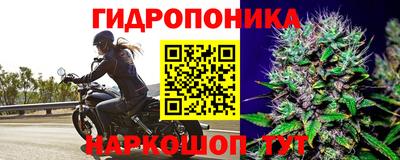 тгк Краснознаменск