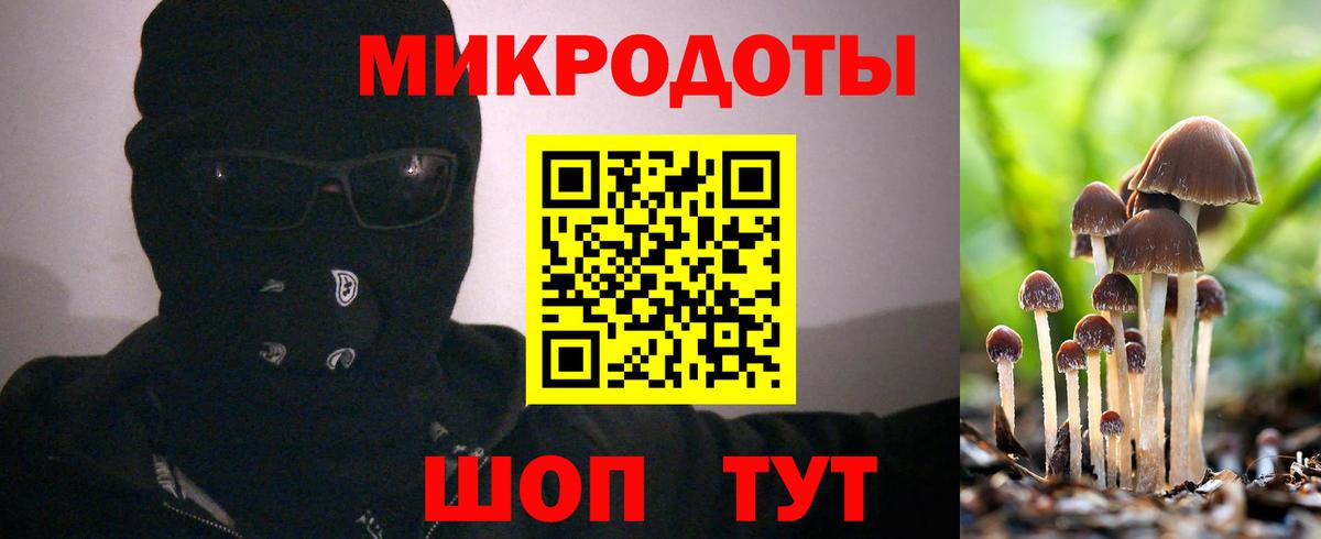 Галлюциногенные грибы MAGIC MUSHROOMS Коряжма