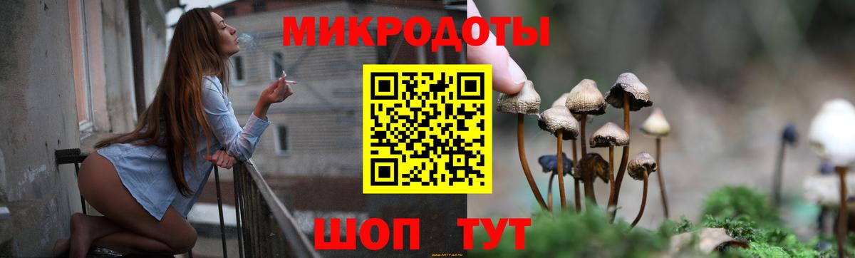 Коряжма  Галлюциногенные грибы прущие грибы  Вход с VPN 