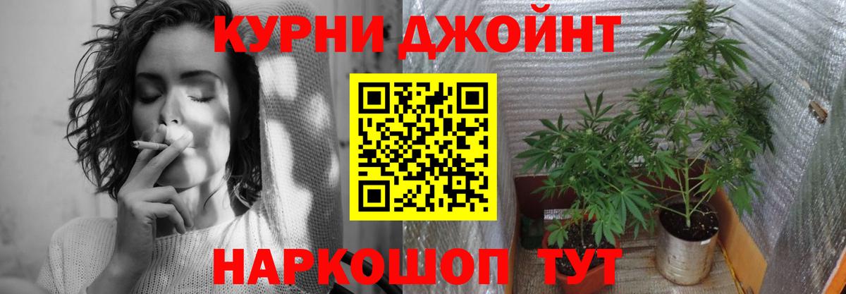 Коряжма  Марихуана White Widow  Вход с VPN  МАРИХУАНА SATIVA & INDICA 